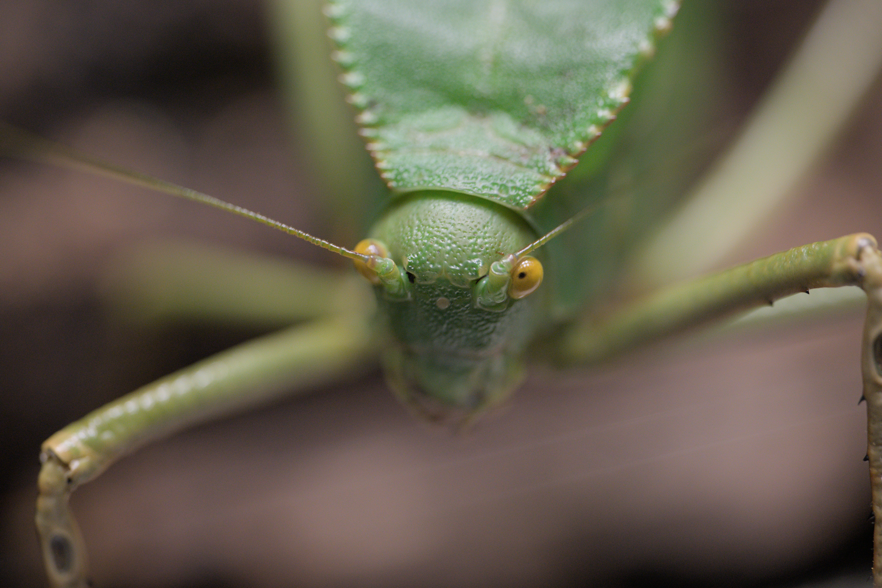 2025/10/12 - zoo/DSC_0219.jpg